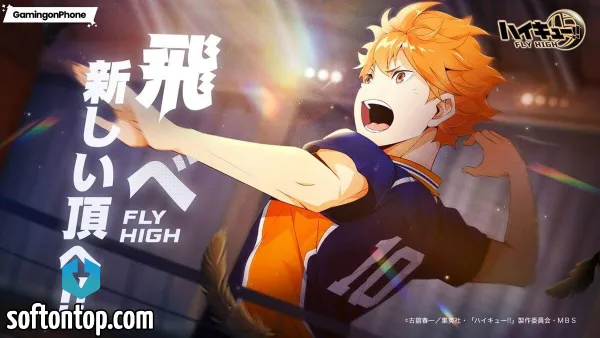 Haikyuu Fly High