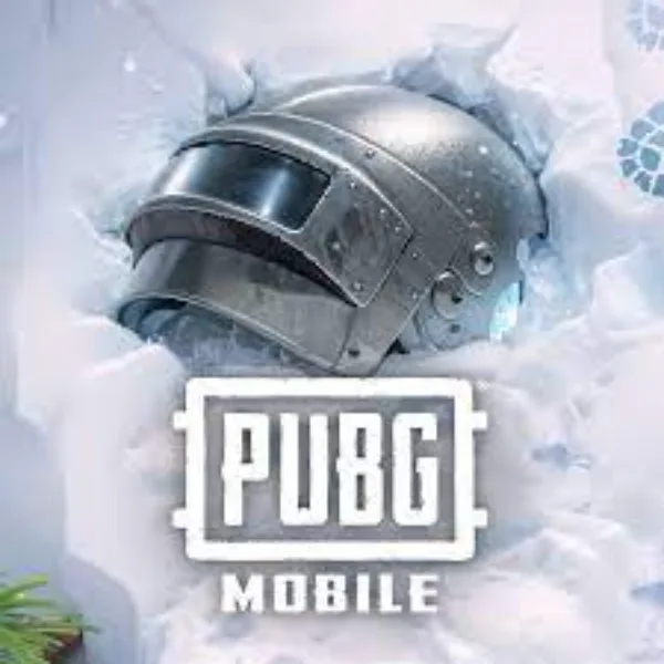 iPad View PUBG Mobile icon