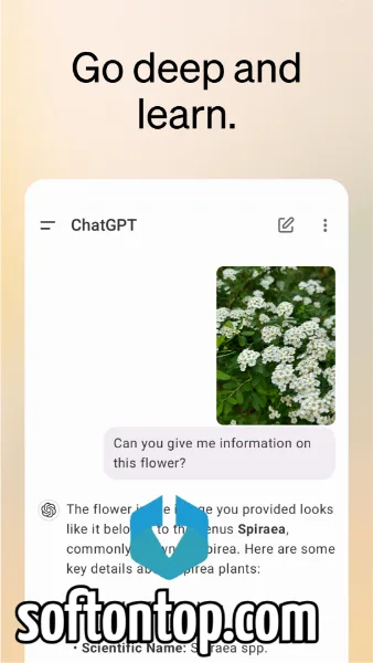 Chat GPT APK Mod premium unlocked