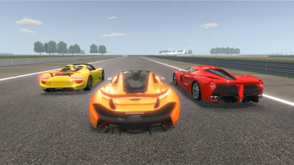 Racing Xperience unlimited money Mod APK